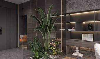 玄關(guān)風(fēng)水，玄關(guān)處可擺放哪些物件？